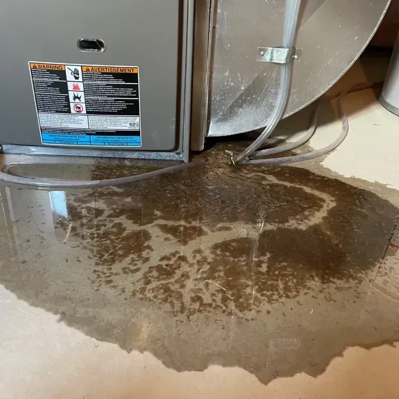 Appliance Leak Cleanup in Cairo, GA